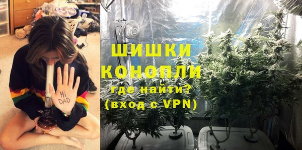 дмт Бронницы