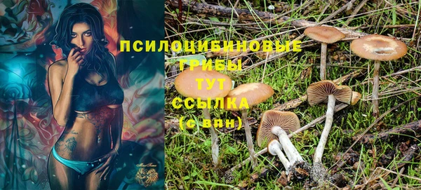 дмт Бронницы