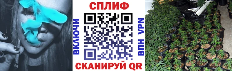 Марихуана планчик  продажа наркотиков  ссылка на мегу   Новокубанск 